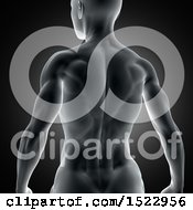 Clipart Of A 3d Fit Xray Woman With Visible Back Muscles On A Dark Gray Background Royalty Free Illustration