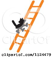 Black Cat Climbing A Ladder