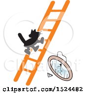 Poster, Art Print Of Superstition Scene Of A Black Cat On A Ladder And A Broken Mirror
