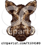 Poster, Art Print Of Wild Boar Face In Sketched Style