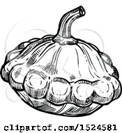 Clipart Of A Patty Pan Squash In Black And White Sketched Style Royalty Free Vector Illustration