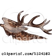 Poster, Art Print Of Elk In Profile In Sketched Style