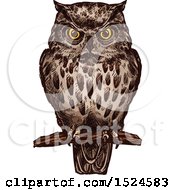 Poster, Art Print Of Perched Owl In Sketched Style