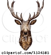 Buck Deer Head In Sketched Style