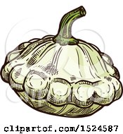 Poster, Art Print Of Patty Pan Squash In Sketched Style