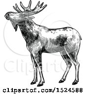 Poster, Art Print Of Moose In Profile In Black And White Sketched Style