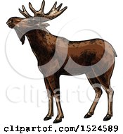 Poster, Art Print Of Moose In Profile In Sketched Style