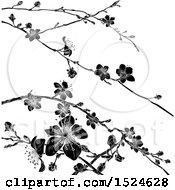 Poster, Art Print Of Black And White Cherry Blossom Branches Background
