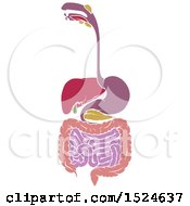 Clipart Of A Diagram Of Digestive Tract Royalty Free Vector Illustration