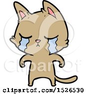 Poster, Art Print Of Crying Cartoon Cat