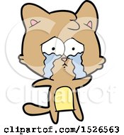 Poster, Art Print Of Cartoon Cat