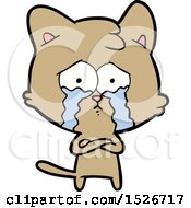 Poster, Art Print Of Cartoon Crying Cat