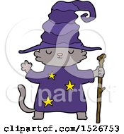 Poster, Art Print Of Cartoon Cat Wizard