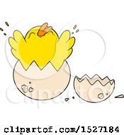 Cartoon Chick Hatching From Egg by lineartestpilot