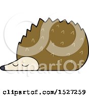 Poster, Art Print Of Cartoon Hedgehog