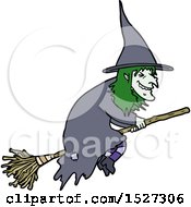 Cartoon Witch On Broom
