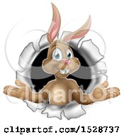 Clipart Of A Happy Easter Bunny Rabbit Breaking Through A Hole In A Wall Royalty Free Vector Illustration