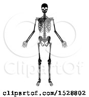 Clipart Of A Black And White Human Skeleton Royalty Free Vector Illustration by AtStockIllustration