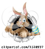 Poster, Art Print Of Brown Easter Bunny Rabbit Giving A Thumb Up And Holding An Egg While Emerging From A Hole