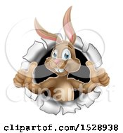 Clipart Of A Brown Easter Bunny Rabbit Giving Two Thumbs Up And Emerging From A Hole Royalty Free Vector Illustration