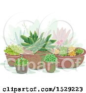 Poster, Art Print Of Succulent Garden