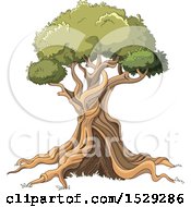 Poster, Art Print Of Gnalred Mature Tree