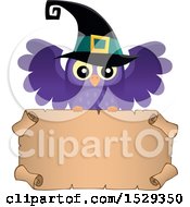 Poster, Art Print Of Blank Parchment Scroll With A Halloween Witch Owl