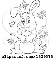 Clipart Of A Black And White Bunny Rabbit With Butterflies Royalty Free Vector Illustration