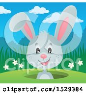 Clipart Of A Gray Bunny Rabbit Emerging From A Hole Royalty Free Vector Illustration