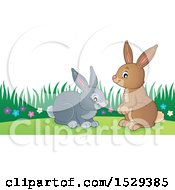 Poster, Art Print Of Pair Of Bunny Rabbits