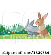 Clipart Of A Pair Of Bunny Rabbits Royalty Free Vector Illustration