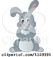 Clipart Of A Gray Bunny Rabbit Royalty Free Vector Illustration