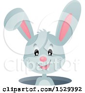 Poster, Art Print Of Gray Bunny Rabbit Emerging From A Hole
