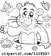 Clipart Of A Black And White Groundhog Emerging From A Hole Royalty Free Vector Illustration