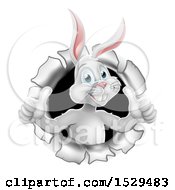 Clipart Of A Happy White Easter Bunny Rabbit Breaking Through A Hole In A Wall And Holding Up Two Thumbs Royalty Free Vector Illustration