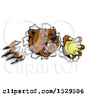 Poster, Art Print Of Vicious Aggressive Bear Mascot Slashing Through A Wall With A Tennis Ball In A Paw