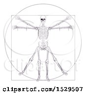 Poster, Art Print Of Leonard Da Vincis Skeleton Vitruvian Man