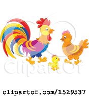 Poster, Art Print Of Chicken Family With A Chick Hen And Rooster