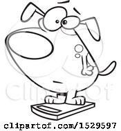 Poster, Art Print Of Cartoon Outline Obese Dog On A Scale