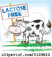 Clipart Of A Happy Dairy Cow Eating A Daisy Flower By A Lactose Free Sign Royalty Free Vector Illustration by Domenico Condello