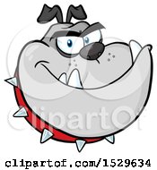 Clipart Of A Tough Gray Bulldog Head Wearing A Spiked Collar Royalty Free Vector Illustration