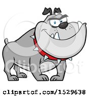 Clipart Of A Tough Gray Bulldog Wearing A Spiked Collar Royalty Free Vector Illustration