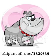 Clipart Of A Tough Gray Bulldog Royalty Free Vector Illustration