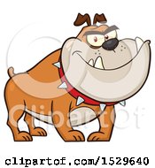Poster, Art Print Of Tough Tan Bulldog Wearing A Spiked Collar