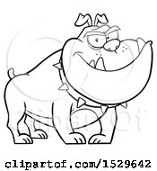 Clipart Of A Black And White Tough Bulldog Wearing A Spiked Collar Royalty Free Vector Illustration