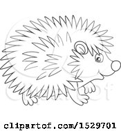 Poster, Art Print Of Black And White Cute Hedgehog
