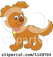 Poster, Art Print Of Cute Brown Puppy Dog