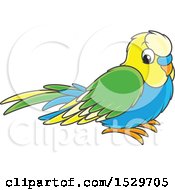 Clipart Of A Cute Pet Budgerigar Parakeet Bird Royalty Free Vector Illustration