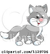 Clipart Of A Cute Gray Kitten Royalty Free Vector Illustration