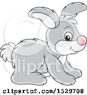 Poster, Art Print Of Cute Gray Bunny Rabbit